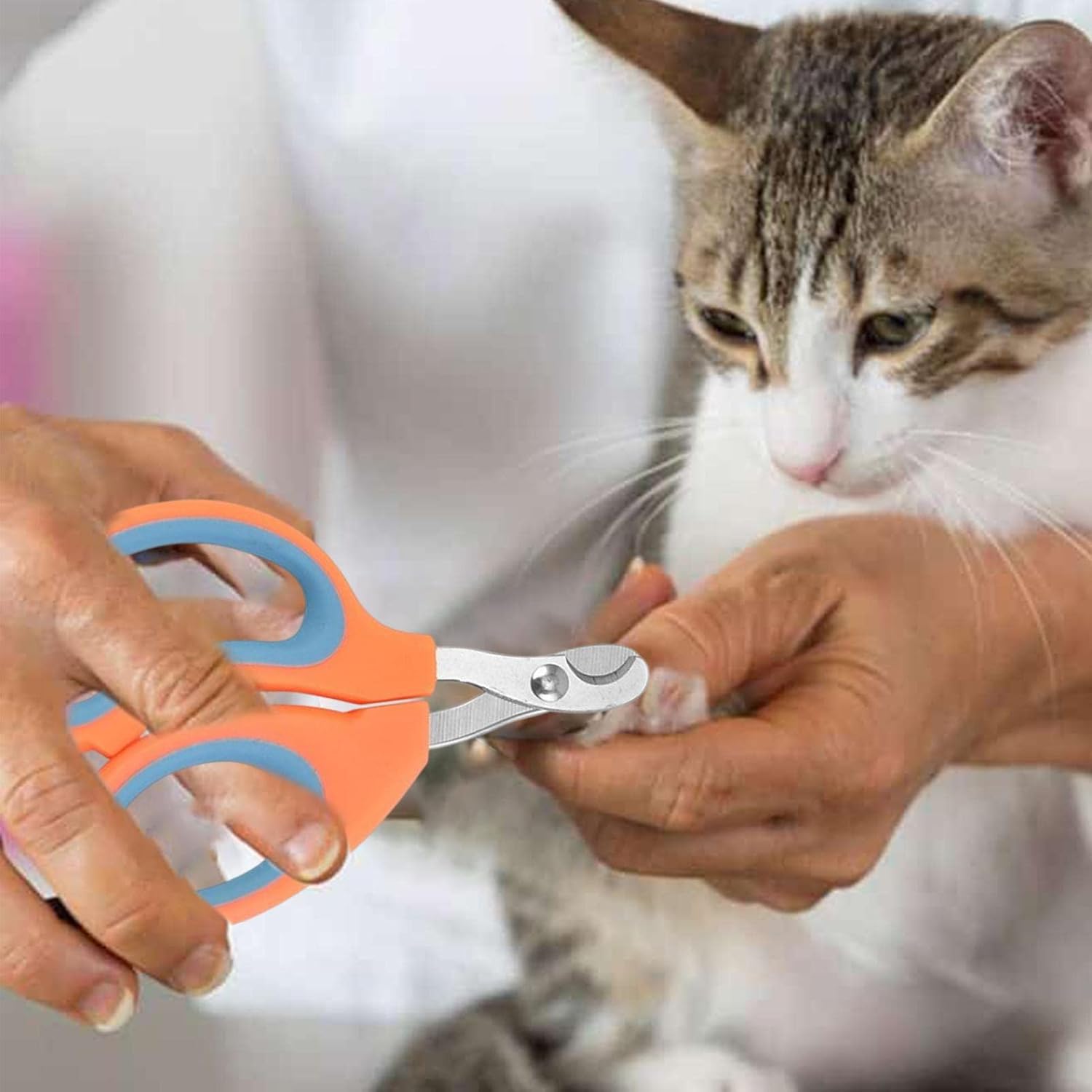 Coupe Ongle pour Chat - PetCatNailScissor™ - Orange Bleu - Minou Majesté